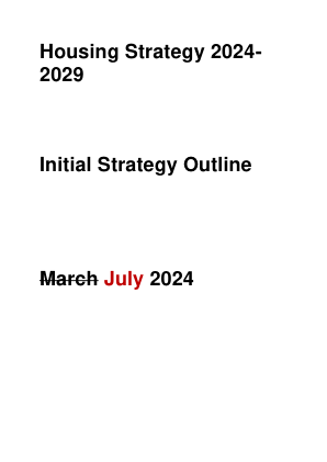 2029 初步战略大纲 2024年3月 7月